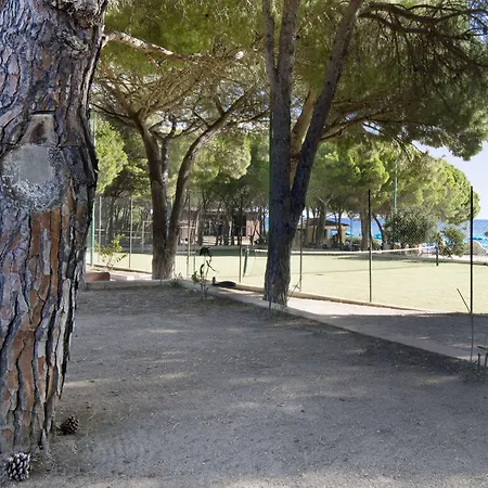 Club Marina Seada 4* 布多尼