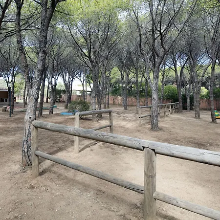 Club Marina Seada Hotel 4*