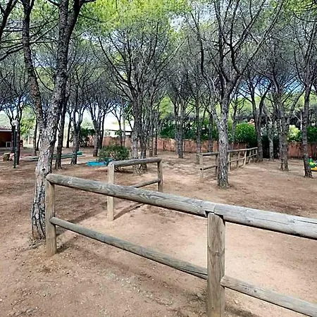 Club Marina Seada