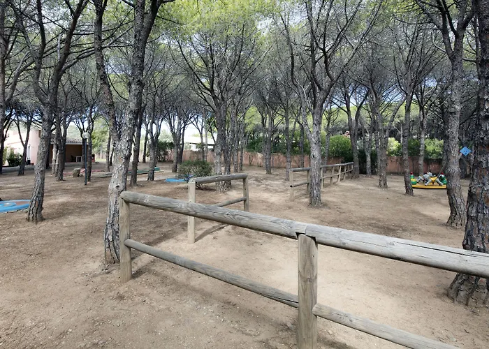 Club Marina Seada Hotel 4*